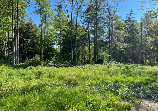 Homes for sale in Redfield, NY | 0 Co Rt 17, Redfield, NY 13437 | MLS# S1691024