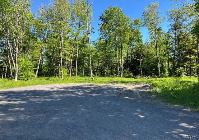 Homes for sale in Redfield, NY | 0 Co Rt 17, Redfield, NY 13437 | MLS# S1691024
