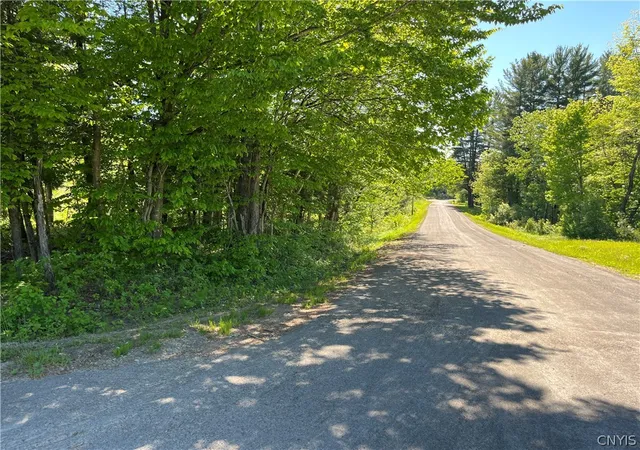 Homes for sale in Redfield, NY | 0 Co Rt 17, Redfield, NY 13437 | MLS# S1691024