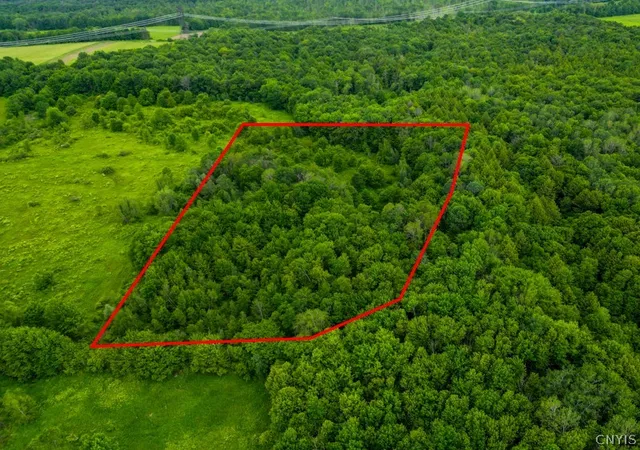 3rd image of 8031 Benson Rd, Holland Patent, NY 13354 | MLS# S1692027