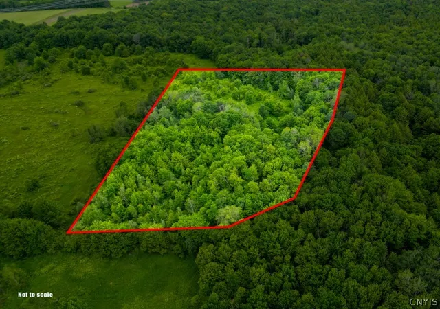 4th image of 8031 Benson Rd, Holland Patent, NY 13354 | MLS# S1692027