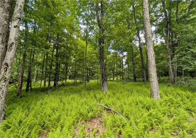 Photo 49 of Manufactured home for sale at 201 Sunrise Mountain Rd, Bloomville, NY 13739 | MLS# R1690986 | Listing updated on 2026-07-14