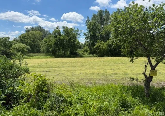Homes for sale in Oakfield, NY | Drake Rd, Oakfield, NY 14125 | MLS# B1692147