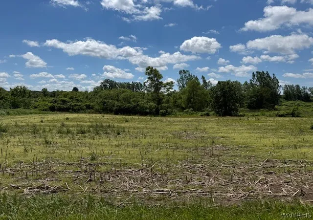 Homes for sale in Oakfield, NY | Drake Rd, Oakfield, NY 14125 | MLS# B1692147
