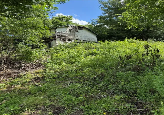 Photo 3 of Land for sale at 9260 Woodsville Rd, Dansville, NY 14437 | MLS# R1692120 | Listing updated on 2026-07-13