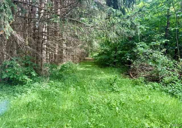 46th image of 1396 State Route 13, Altmar, NY 13302 | MLS# S1692252