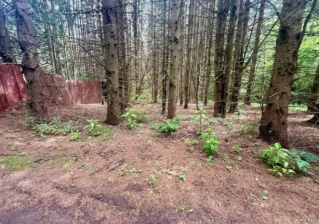4th image of 1396 State Route 13, Altmar, NY 13302 | MLS# S1692252