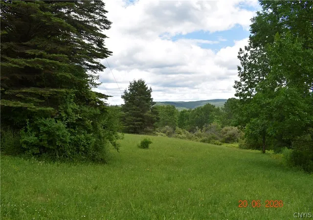 39th image of 228 Fred Ottaway Rd, Middlefield, NY 13326 | MLS# S1692544