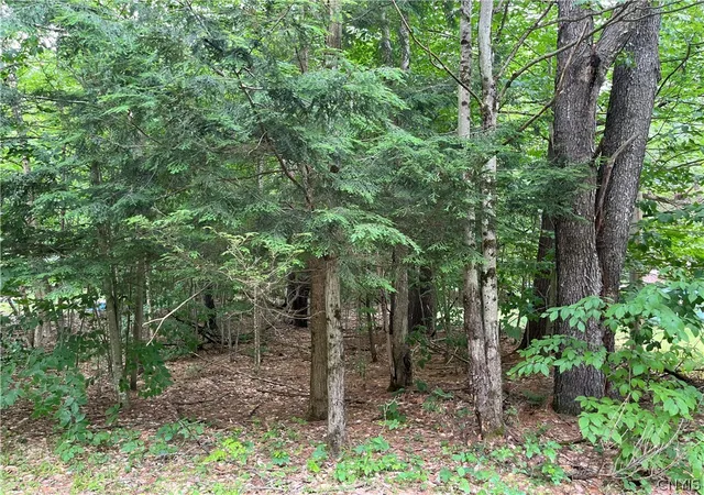 Homes for sale in Watson, NY | Pine Cone Ln, Watson, NY 13343 | MLS# S1692479
