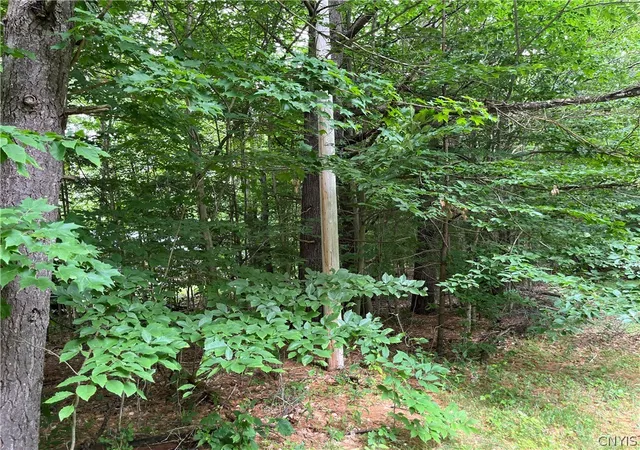 Homes for sale in Watson, NY | Pine Cone Ln, Watson, NY 13343 | MLS# S1692479