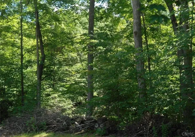 Homes for sale in Marathon, NY | 10 1/2 Galatia St, Marathon, NY 13803 | MLS# S1692522