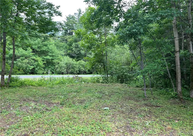 Homes for sale in Lorraine, NY | 19315 County Route 90, Lorraine, NY 13659 | MLS# S1692259