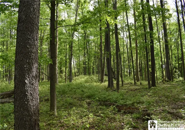 Photo 1 of Land for sale at 10133 Edward Corners Rd, Perrysburg, NY 14129 | MLS# R1691958 | Listing updated on 2026-06-24