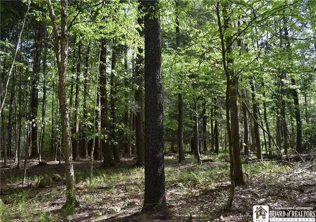 Photo 2 of Land for sale at 10133 Edward Corners Rd, Perrysburg, NY 14129 | MLS# R1691958 | Listing updated on 2026-06-24