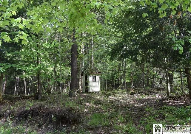 Photo 3 of Land for sale at 10133 Edward Corners Rd, Perrysburg, NY 14129 | MLS# R1691958 | Listing updated on 2026-06-24