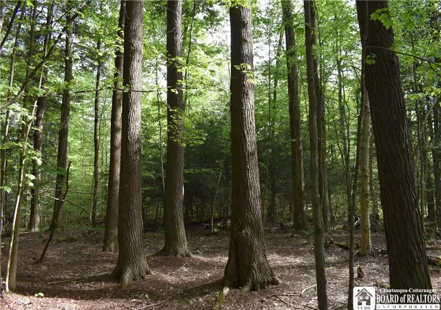 Photo 4 of Land for sale at 10133 Edward Corners Rd, Perrysburg, NY 14129 | MLS# R1691958 | Listing updated on 2026-06-24