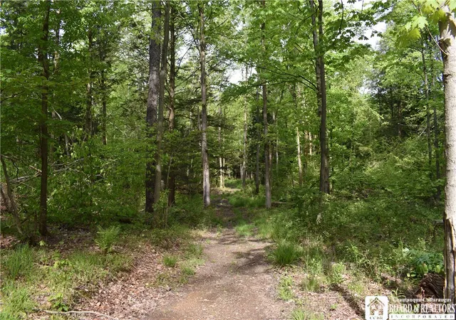 Photo 5 of Land for sale at 10133 Edward Corners Rd, Perrysburg, NY 14129 | MLS# R1691958 | Listing updated on 2026-06-24