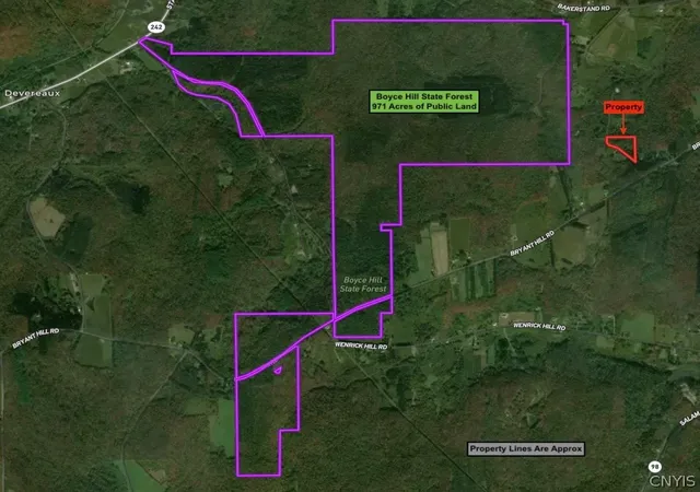 Homes for sale in Franklinville, NY | 3846 Tamarack Ridge Rd, Franklinville, NY 14737 | MLS# S1692785