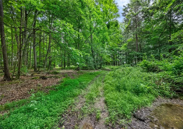 49th image of 11402 Canaseraga Rd, Dansville, NY 14437 | MLS# R1691460
