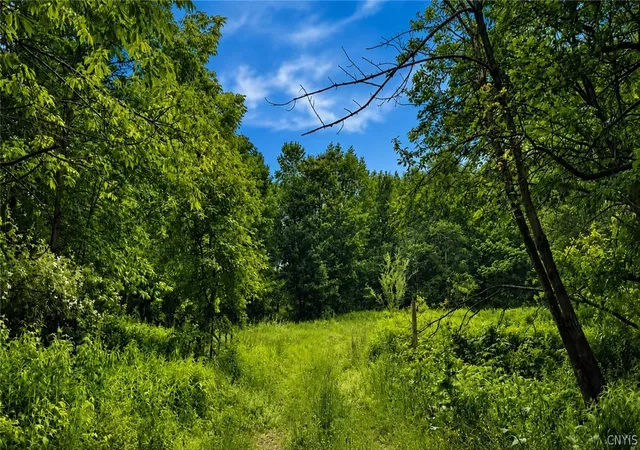 Photo 4 of House for sale at 1194 Kerber Rd, Boonville, NY 13309 | MLS# S1692814 | Listing updated on 2026-06-29