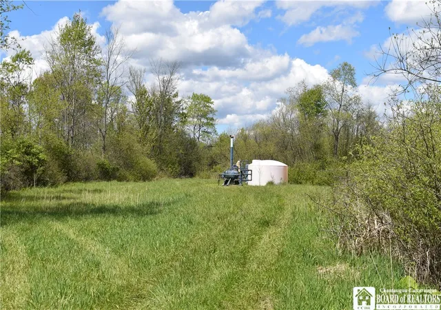 42nd image of 0 W Main St, Frewsburg, NY 14738 | MLS# R1691933