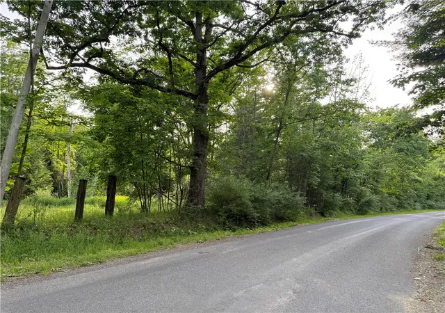 Photo 1 of Land for sale at Cronk Hl Rd, Fillmore, NY 14735 | MLS# R1691738 | Listing updated on 2026-08-04