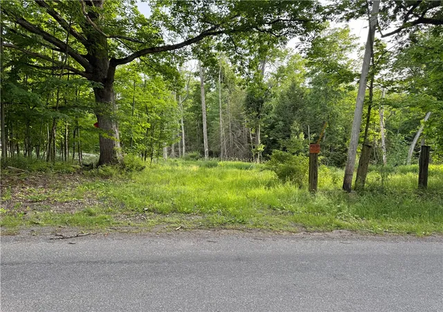 Photo 2 of Land for sale at Cronk Hl Rd, Fillmore, NY 14735 | MLS# R1691738 | Listing updated on 2026-08-04