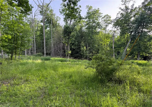 Photo 3 of Land for sale at Cronk Hl Rd, Fillmore, NY 14735 | MLS# R1691738 | Listing updated on 2026-08-04