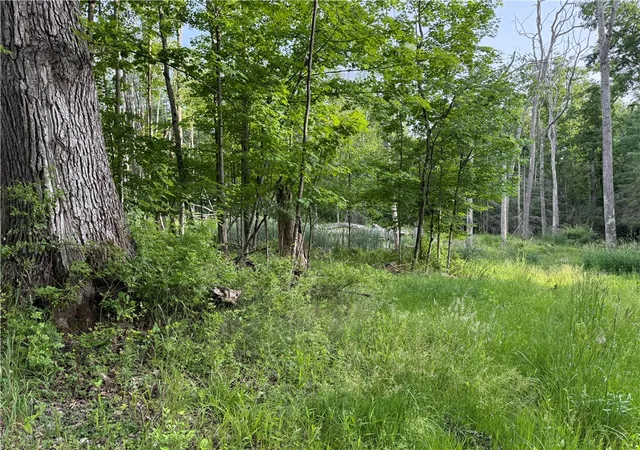 Photo 4 of Land for sale at Cronk Hl Rd, Fillmore, NY 14735 | MLS# R1691738 | Listing updated on 2026-08-04