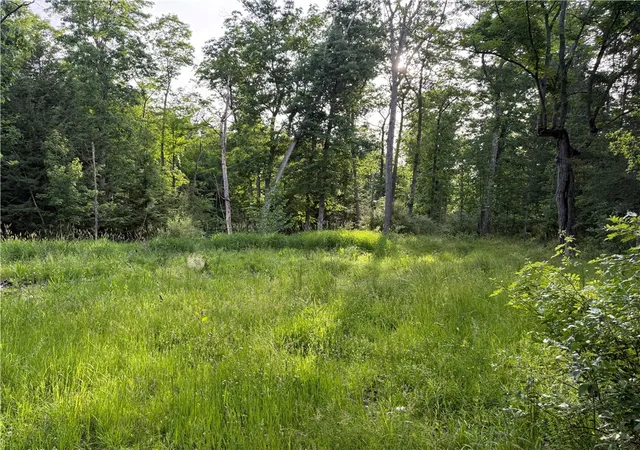 Photo 5 of Land for sale at Cronk Hl Rd, Fillmore, NY 14735 | MLS# R1691738 | Listing updated on 2026-08-04