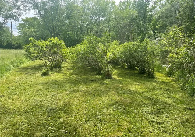 Homes for sale in Veteran, NY | 3753 Watkins Rd, Veteran, NY 14864 | MLS# R1692841