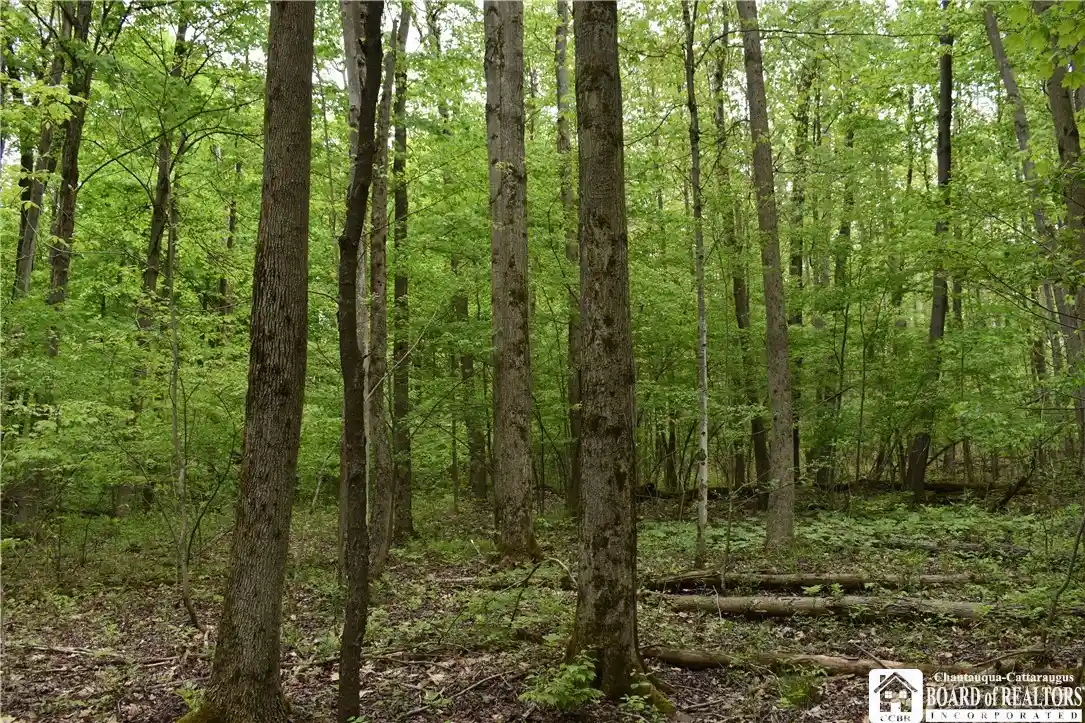 Photo 1 of Sale Pending at 0 Harris Holw Rd, Gerry, NY 14740 | MLS# R1693101 | Listing updated on 2026-08-20