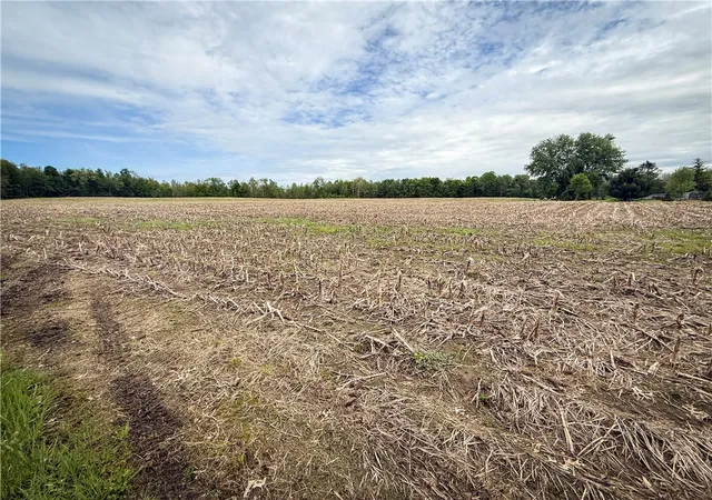 Homes for sale in Hannibal, NY | Gifford Rd, Hannibal, NY 13074 | MLS# R1693100