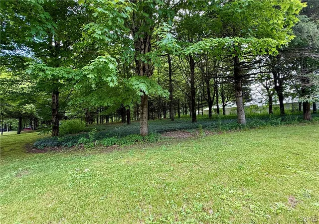 Homes for sale in Williamstown, NY | Vida Dr, Williamstown, NY 13493 | MLS# S1692739
