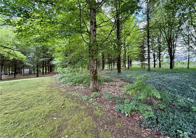 Homes for sale in Williamstown, NY | Vida Dr, Williamstown, NY 13493 | MLS# S1692739