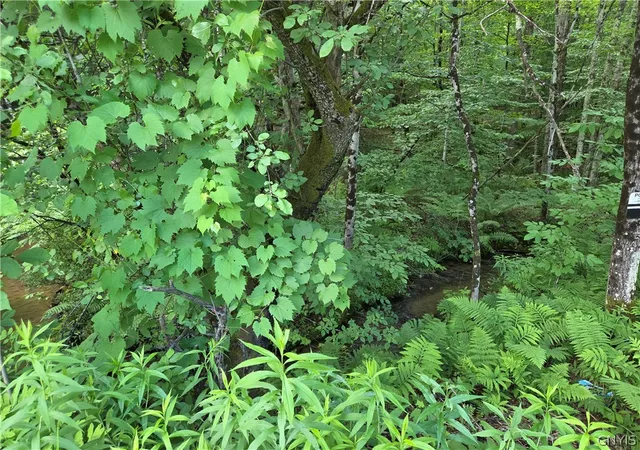 Photo 12 of Land for sale at Moose River Rd, Port Leyden, NY 13433 | MLS# S1693291 | Listing updated on 2026-07-21
