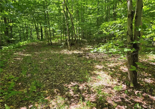 Photo 1 of Land for sale at Moose River Rd, Port Leyden, NY 13433 | MLS# S1693291 | Listing updated on 2026-07-21
