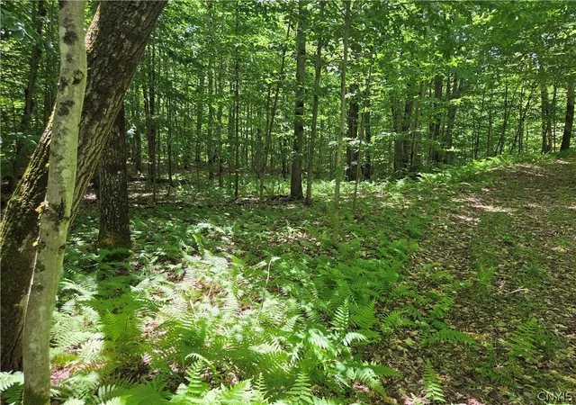 Photo 2 of Land for sale at Moose River Rd, Port Leyden, NY 13433 | MLS# S1693291 | Listing updated on 2026-07-21