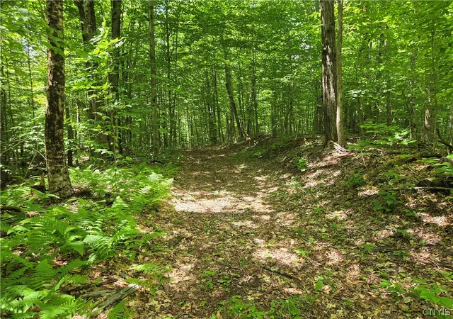 Photo 3 of Land for sale at Moose River Rd, Port Leyden, NY 13433 | MLS# S1693291 | Listing updated on 2026-07-21