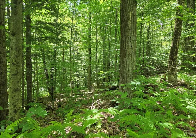 Photo 4 of Land for sale at Moose River Rd, Port Leyden, NY 13433 | MLS# S1693291 | Listing updated on 2026-07-21