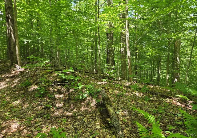 Photo 5 of Land for sale at Moose River Rd, Port Leyden, NY 13433 | MLS# S1693291 | Listing updated on 2026-07-21