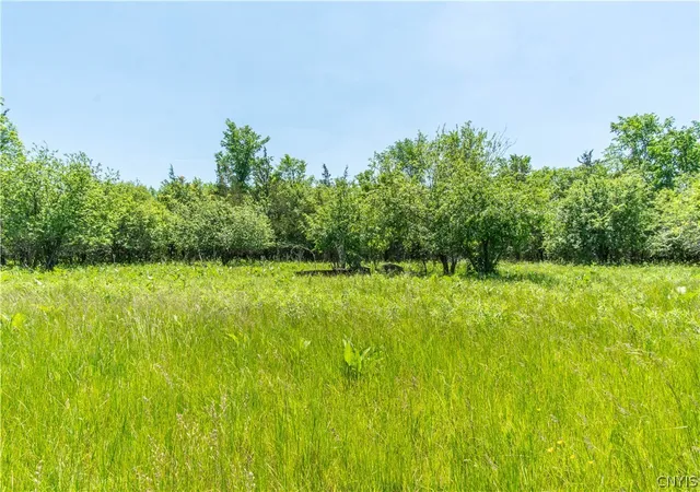2nd image of 0 Middle Rd, Dexter, NY 13634 | MLS# S1692605