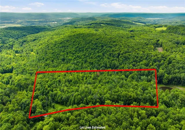 Homes for sale in Catlin, NY | Dunn Rd, Catlin, NY 14902 | MLS# R1693428