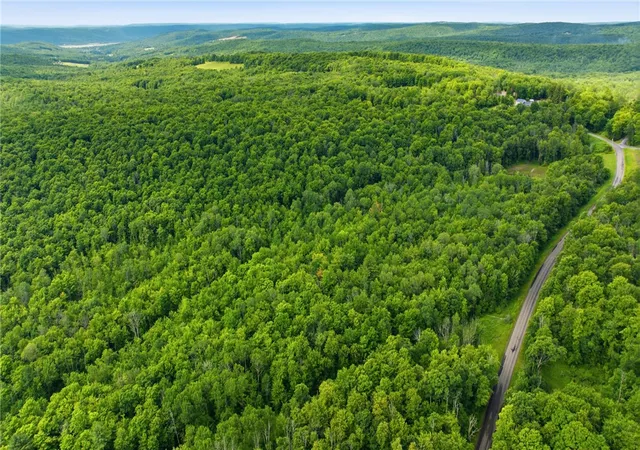 Homes for sale in Catlin, NY | Dunn Rd, Catlin, NY 14902 | MLS# R1693428