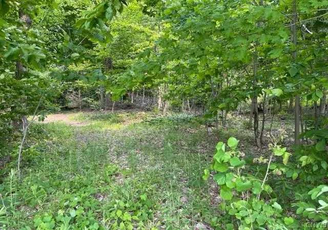 Homes for sale in Lincoln, NY | Harp Rd Rd, Lincoln, NY 13032 | MLS# S1693500