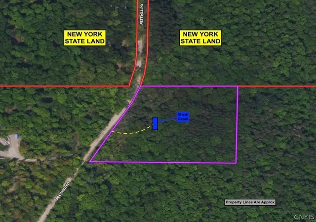 Homes for sale in Farmersville, NY | Peet Hill Rd, Farmersville, NY 14737 | MLS# S1693525