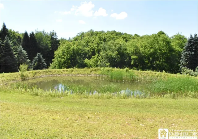 Homes for sale in Otto, NY | 9504 Forty Rd, Otto, NY 14719 | MLS# R1693493