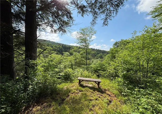 5th image of Lot #4233 County Rd 13, Otselic, NY 13072 | MLS# R1693552