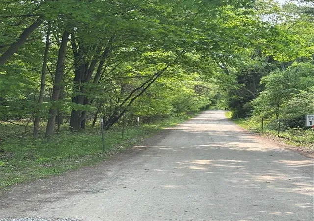 11th image of Spring Rd S, Dansville, NY 14437 | MLS# R1693600