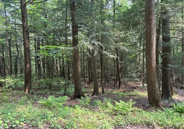 1st image of Spring Rd S, Dansville, NY 14437 | MLS# R1693600